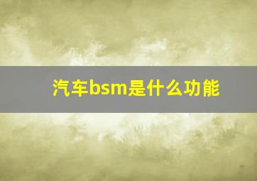 汽车bsm是什么功能