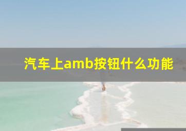 汽车上amb按钮什么功能