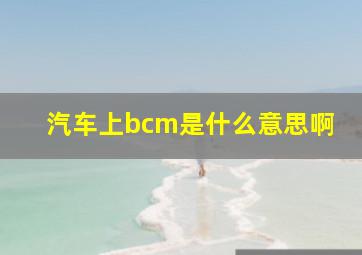 汽车上bcm是什么意思啊