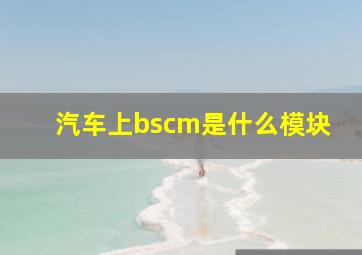 汽车上bscm是什么模块