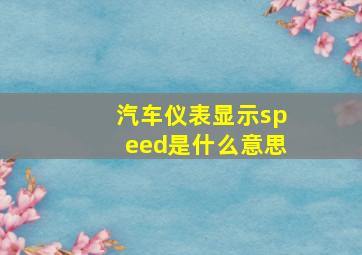 汽车仪表显示speed是什么意思