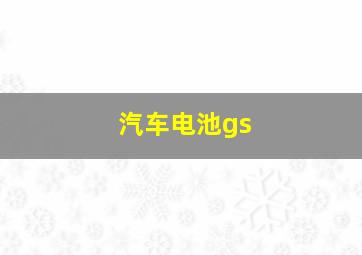 汽车电池gs