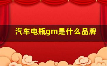 汽车电瓶gm是什么品牌