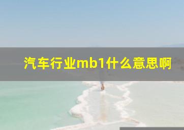 汽车行业mb1什么意思啊