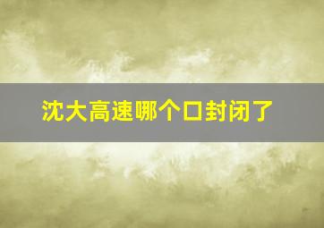 沈大高速哪个口封闭了