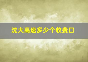 沈大高速多少个收费口