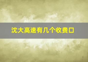 沈大高速有几个收费口