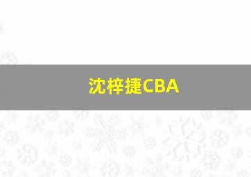 沈梓捷CBA