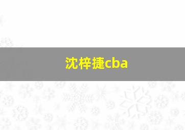 沈梓捷cba