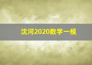 沈河2020数学一模