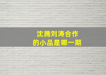 沈腾刘涛合作的小品是哪一期