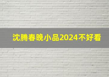 沈腾春晚小品2024不好看