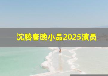 沈腾春晚小品2025演员