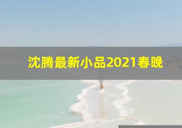 沈腾最新小品2021春晚