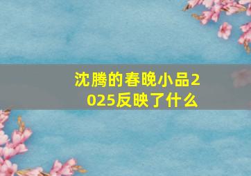 沈腾的春晚小品2025反映了什么