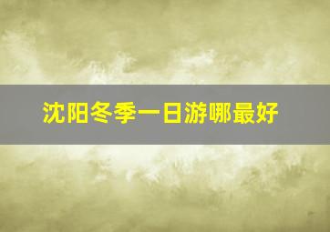 沈阳冬季一日游哪最好