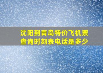 沈阳到青岛特价飞机票查询时刻表电话是多少