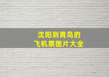 沈阳到青岛的飞机票图片大全