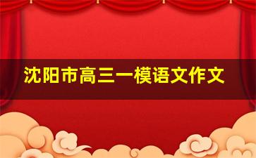 沈阳市高三一模语文作文