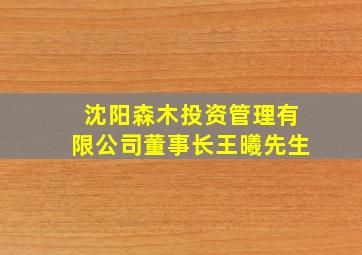 沈阳森木投资管理有限公司董事长王曦先生