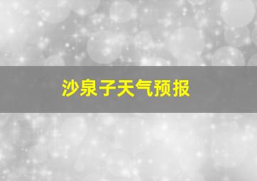 沙泉子天气预报