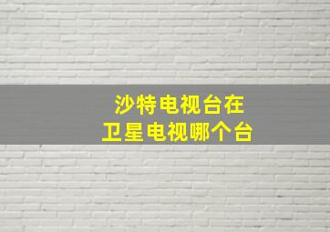 沙特电视台在卫星电视哪个台