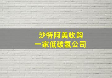 沙特阿美收购一家低碳氢公司