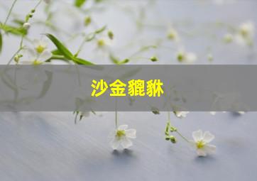 沙金貔貅