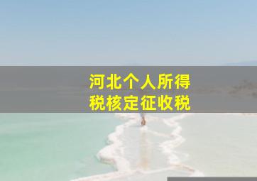 河北个人所得税核定征收税