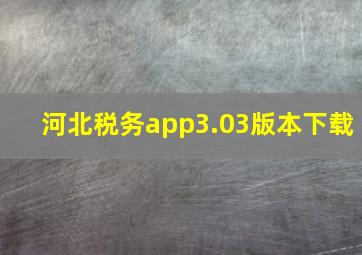 河北税务app3.03版本下载