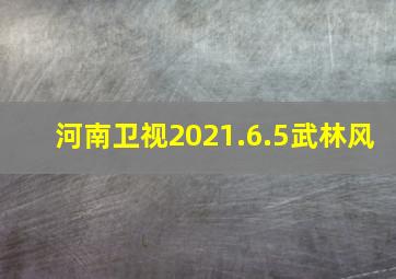 河南卫视2021.6.5武林风