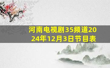 河南电视剧35频道2024年12月3日节目表