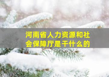 河南省人力资源和社会保障厅是干什么的