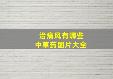 治痛风有哪些中草药图片大全