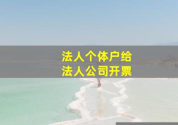 法人个体户给法人公司开票