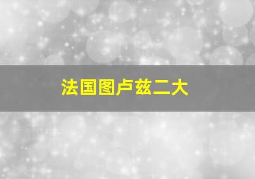 法国图卢兹二大