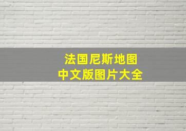 法国尼斯地图中文版图片大全