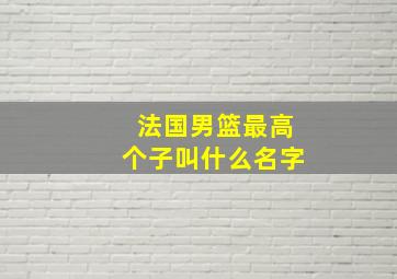 法国男篮最高个子叫什么名字