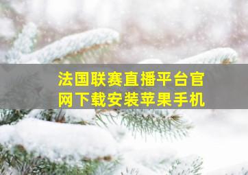 法国联赛直播平台官网下载安装苹果手机