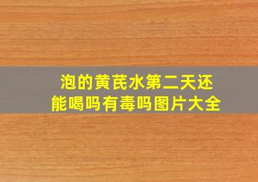 泡的黄芪水第二天还能喝吗有毒吗图片大全