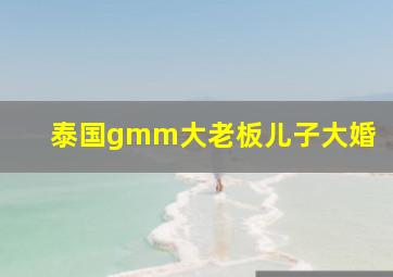 泰国gmm大老板儿子大婚