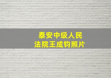 泰安中级人民法院王成钧照片