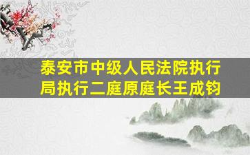 泰安市中级人民法院执行局执行二庭原庭长王成钧