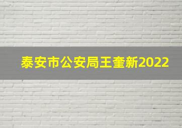 泰安市公安局王奎新2022