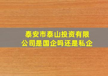 泰安市泰山投资有限公司是国企吗还是私企