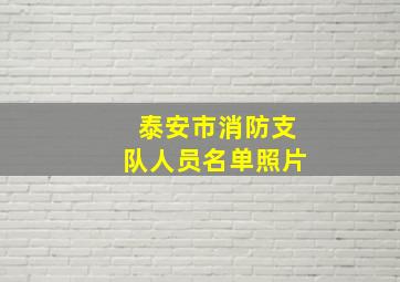 泰安市消防支队人员名单照片