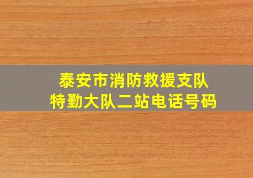 泰安市消防救援支队特勤大队二站电话号码