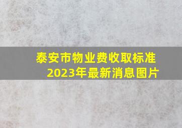 泰安市物业费收取标准2023年最新消息图片