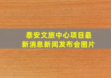 泰安文旅中心项目最新消息新闻发布会图片