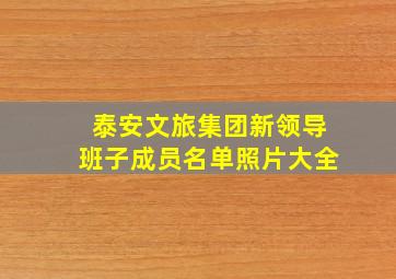 泰安文旅集团新领导班子成员名单照片大全